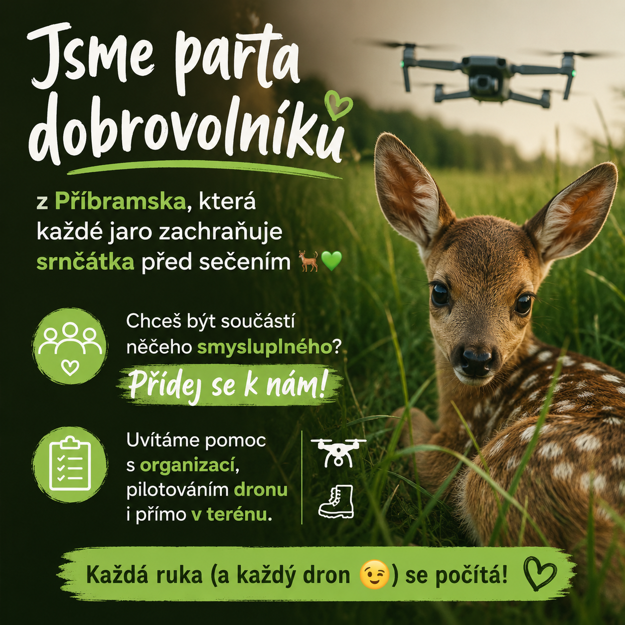 Srnče v trávě a výzva pro dobrovolníky